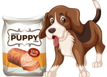 Mano šuo viską graužė, kol neišbandžiau Himalajų sūrio lazdelių