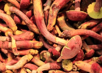 Štai kodėl kai kurios bananų rūšys yra raudonos – ir ką verta žinoti apie šį neįprastos spalvos vaisių