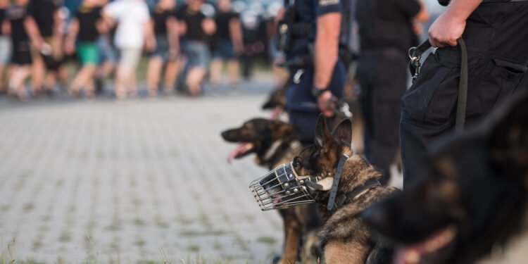 Kai prie šeimininko prisiartino nepažįstamasis, ramūs augintiniai virto sargiais šunimis