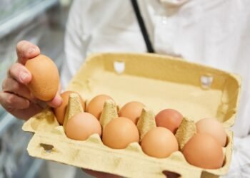 Ar kiaušinius reikia laikyti šaldytuve?