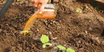 Atgaivinkite savo sodą pavasariui su šia ekologiška ir tvaria augalų trąša