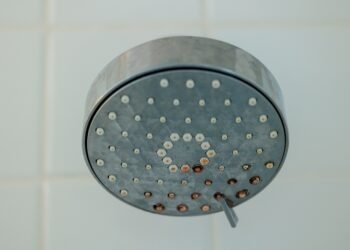 Kaip išvalyti dušo galvutę (ir kodėl tai būtina)
