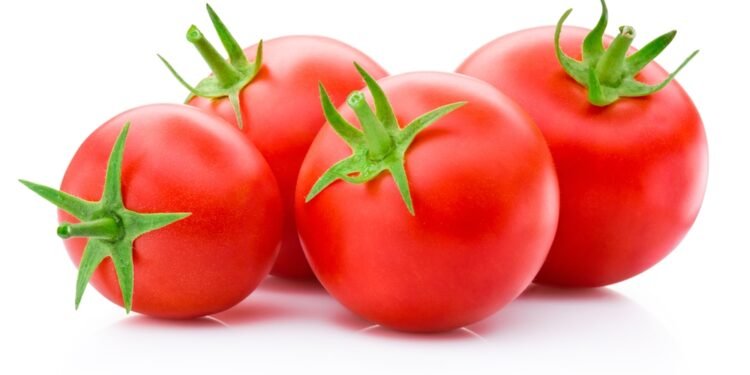Tikroji priežastis, kodėl pomidorų kadaise buvo bijoma
