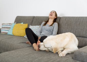 Kodėl šunys laižo jūsų pėdas?