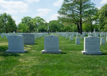 Kas nutinka mirus einančiam pareigas senatorui?