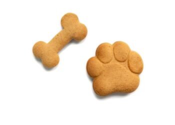 14 įdomių faktų apie gyvūnėlių formos sausainius, kurių tikriausiai nežinojote