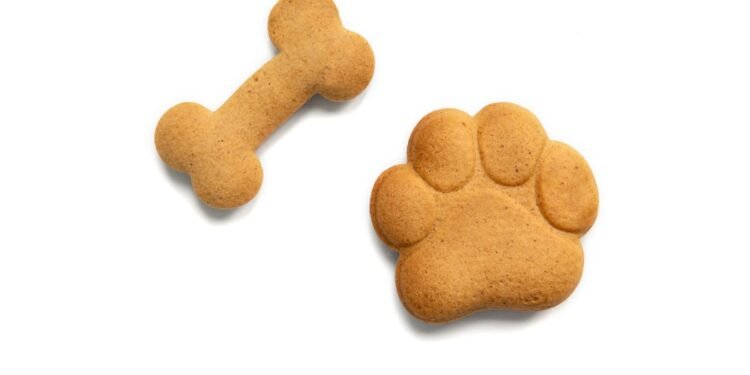 14 įdomių faktų apie gyvūnėlių formos sausainius, kurių tikriausiai nežinojote