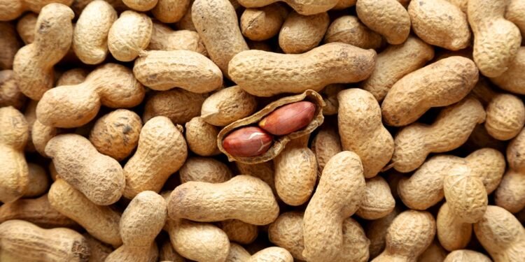 Kaip panaudoti kavos tirščius, kad jūsų augalai klestėtų