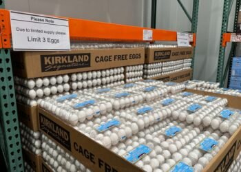 Štai kodėl „Costco“ „Kirkland“ produktų nereikėtų pirkti per „Amazon“