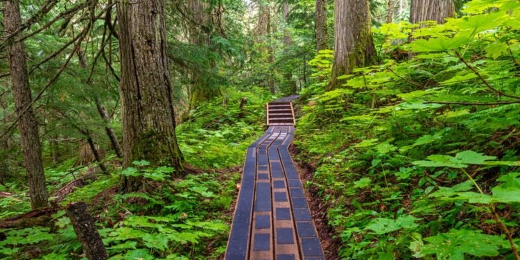 Princas Džordžas atskleidė, kuo svajoja būti užaugęs