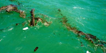 Tai ne jūsų vaizduotė: vandenynas žaliuoja vis labiau — štai kodėl