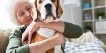 9 patikimi patarimai, kaip padėti savo augintiniui gyventi ilgiau