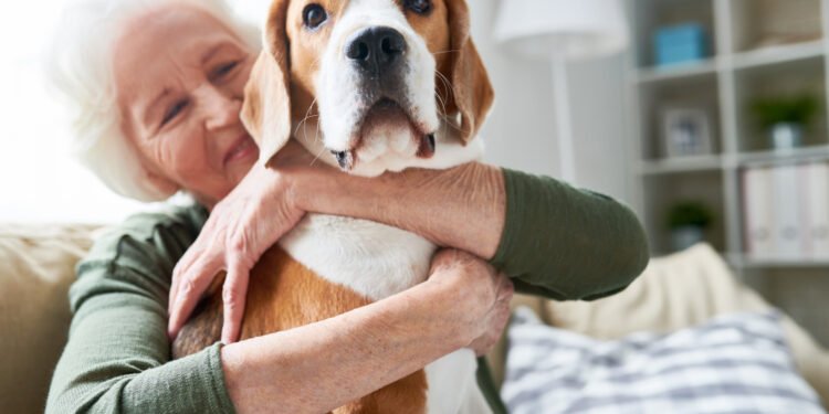 9 patikimi patarimai, kaip padėti savo augintiniui gyventi ilgiau