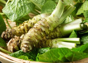 Kas iš tiesų yra vasabis?