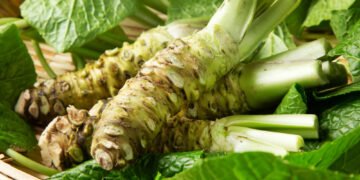 Kas iš tiesų yra vasabis?