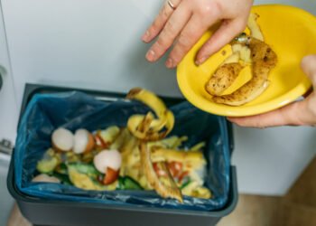 Kaip išvalyti virtuvės maisto atliekų smulkintuvą, kad virtuvėje neatsirastų nemalonus kvapas