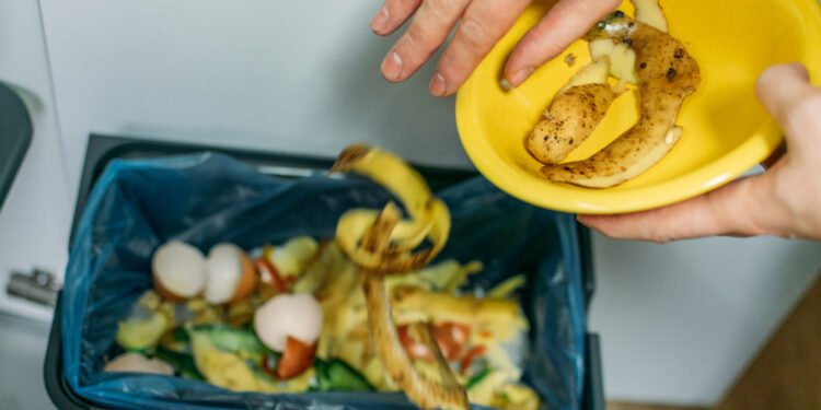 Kaip išvalyti virtuvės maisto atliekų smulkintuvą, kad virtuvėje neatsirastų nemalonus kvapas