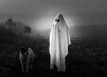 Ar šunys gali matyti vaiduoklius? Ką sako mokslas