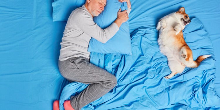 Kodėl šunys trūkčioja miegodami?