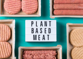 Ar augalinė mėsos alternatyva yra geresnė aplinkai?