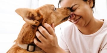 Kodėl šunys laižo žmones? 4 priežastys, kodėl šuo gali jus laižyti