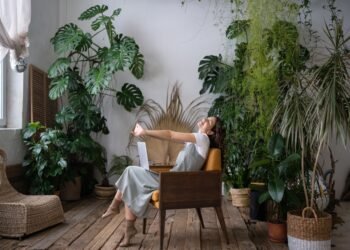 Kaip prižiūrėti skindapso (poto) augalą