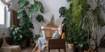 Kaip prižiūrėti skindapso (poto) augalą