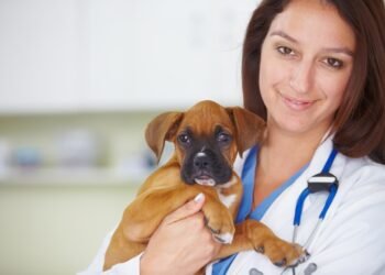 9 patikimi patarimai, kaip padėti augintiniui gyventi ilgiau