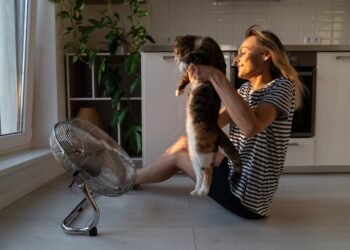 Ar katės prakaituoja? Kaip, veterinarų teigimu, jos atsivėsina per vasaros karščius