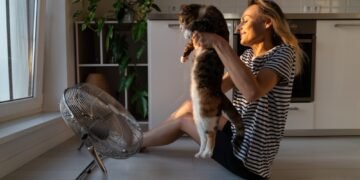 Ar katės prakaituoja? Kaip, veterinarų teigimu, jos atsivėsina per vasaros karščius