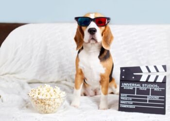 Ar šunims galima duoti spragėsių? Veterinarų patarimai