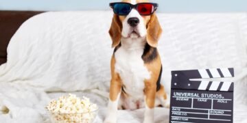 Ar šunims galima duoti spragėsių? Veterinarų patarimai