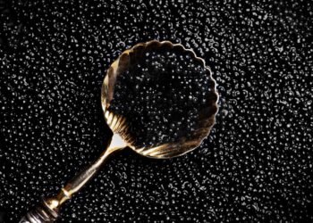 Kas iš tikrųjų yra ikrai?