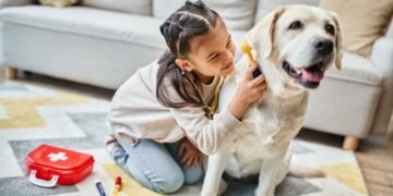 Vienas daiktas mano augintinio pirmosios pagalbos rinkinyje išgelbėjo mano augintinio gyvybę