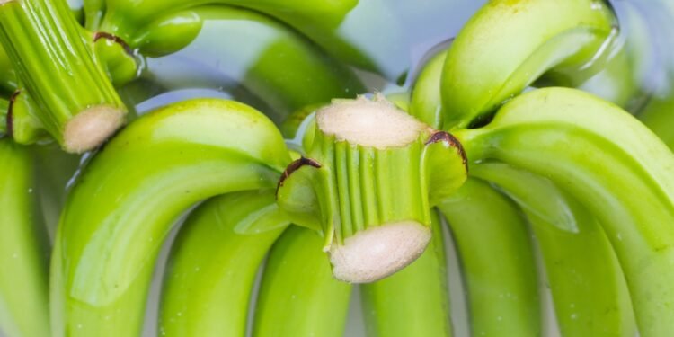 Kaip naudoti bananų vandenį augalams, kad sodas klestėtų