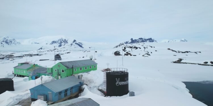 Metus buvau izoliuotas Antarktidoje – štai kas mane labiausiai nustebino sugrįžus