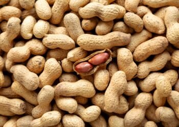 Ar žemės riešutai yra riešutai? Du ekspertai paaiškina, kaip yra iš tiesų.