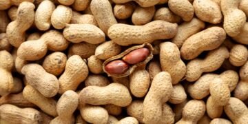 Ar žemės riešutai yra riešutai? Du ekspertai paaiškina, kaip yra iš tiesų.