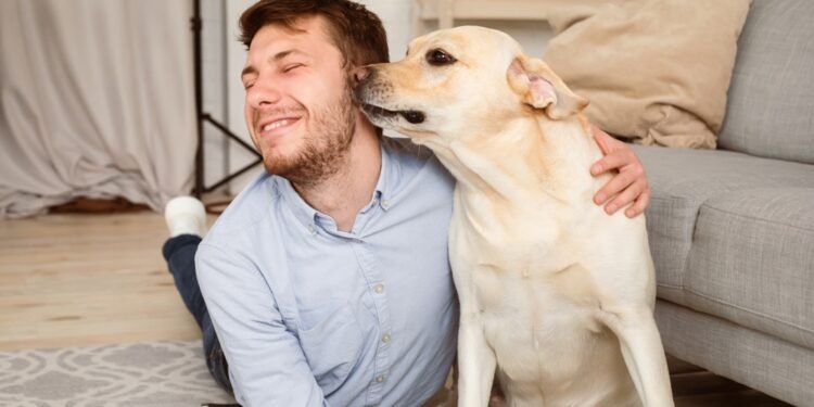 Kodėl šunys uosto jums tarpkojį? Ekspertai paaiškina šį nejaukų šunų elgesį.