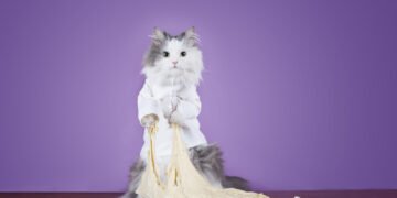 Kodėl katės „kepa duoną“?