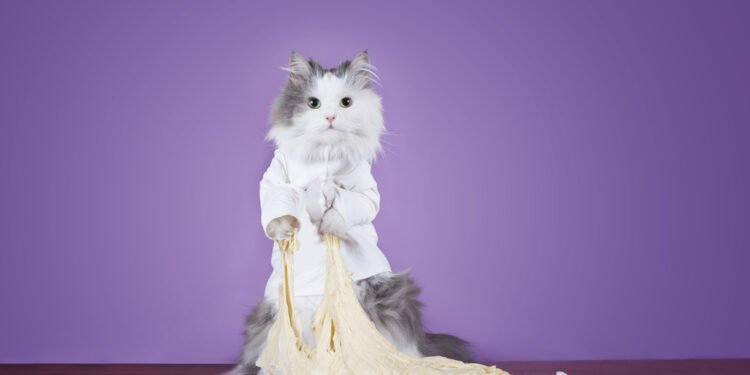 Kodėl katės „kepa duoną“?