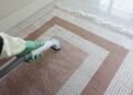 Kaip išvalyti kilimą, kad jis atrodytų kaip naujas