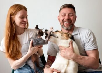 Ar šunys tikrai nekenčia kačių? Ką sako ekspertai