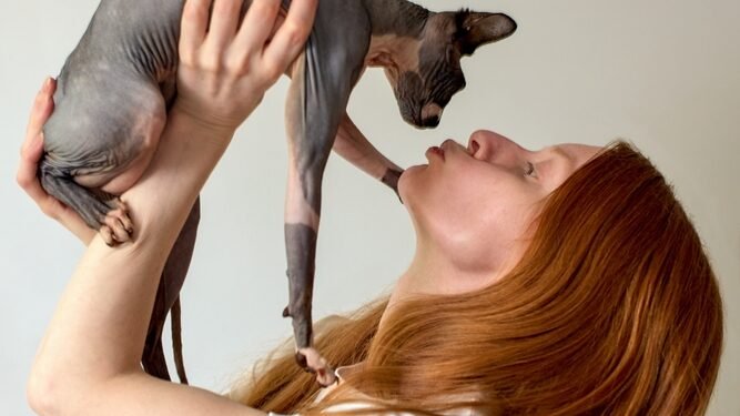 Ar katėms patinka bučiniai? Ką, pasak ekspertų, verta žinoti