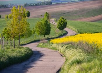 Keliaujate šį pavasarį? Oro uostuose laukia dar ilgesnės saugumo patikros eilės – štai kodėl.