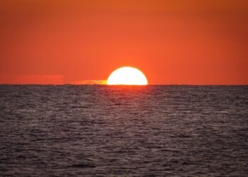Kodėl vandenynas parausta ir ką daryti, jei tai nutinka jūsų pavasario atostogų vietoje