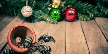 Kas yra kalėdinis voras ir kodėl galbūt norėtumėte jį pasikabinti ant eglutės?