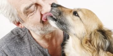 Kodėl šunys jus laižo? 4 priežastys, kodėl šuo gali jus laižyti